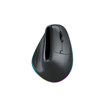 Ergonomic Wireless Mouse