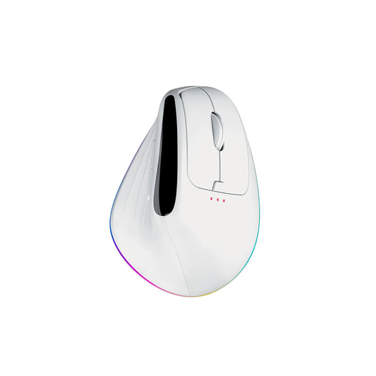 Ergonomic Wireless Mouse