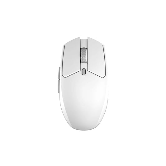 Multi-Device Wireless Mouse